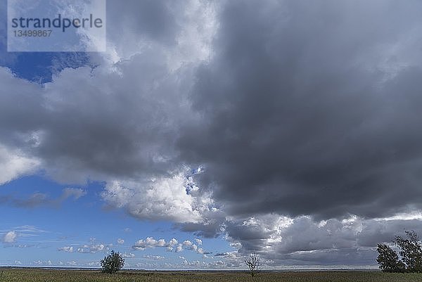 Regenwolken (Nimbostratus) über dem Bodden  Darß  Mecklenburg-Vorpommern  Deutschland  Europa