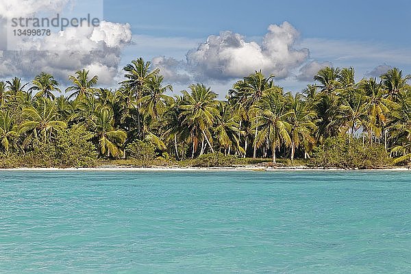 Traumstrand  Sandstrand mit Palmen und türkisfarbenem Meer  bewölkter Himmel  Parque Nacional del Este  Insel Saona Island  Karibik  Dominikanische Republik  Mittelamerika