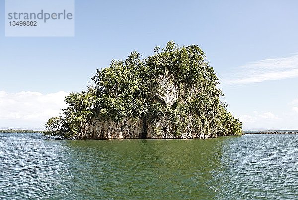 Cayo oder Felseninsel  Nationalpark Los Haitises  Provinz Samaná  Dominikanische Republik  Mittelamerika