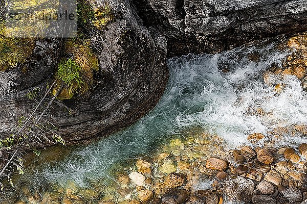 Bach fließt in einer Schlucht  Maligne Canyon  Maligne Valley  Jasper National Park National Park  Kanadische Rocky Mountains  Alberta  Kanada  Nordamerika