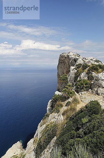 Aussichtspunkt  Küstenlinie  Cap de Formentor  Mallorca oder Mallorca  Spanien  Europa