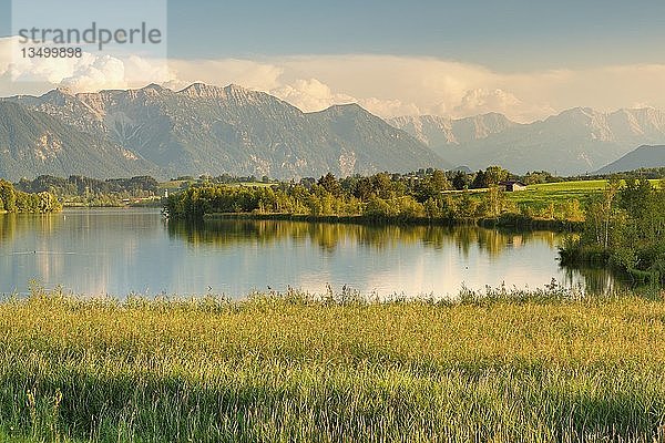 Riegsee vor Estergebirge  Wettersteingebirge und Ammergauer Alpen  Oberbayern  Bayern  Deutschland  Europa