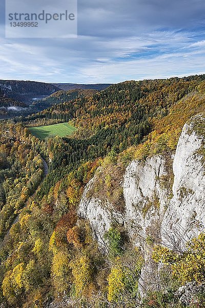 Herbst im Naturpark Obere Donau  Baden-Württemberg  Deutschland  Europa