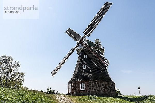 Holländerwindmühle  Herd  Boiensdorf  Am Salzhaff  Mecklenburg-Vorpommern  Deutschland  Europa