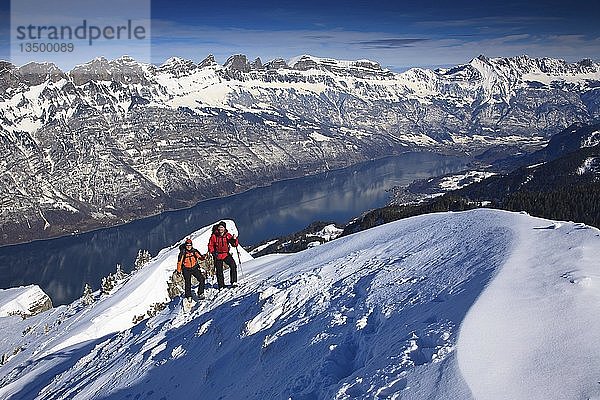 Zwei Bergsteiger auf einer Skitour im Winter  Aufstieg auf einem Schneegrat  hinter dem Walensee  den Churfirsten und Appenzeller Alpen  Firzstock  Oberstalden  Glarner Alpen  Kanton Glarus  Schweiz  Europa