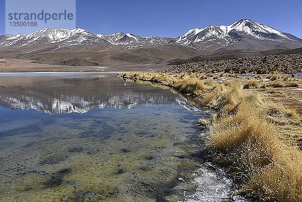 Laguna Cañapa  Obere Anden  Altiplano  Potosi  Uyuni  Bolivien  Südamerika