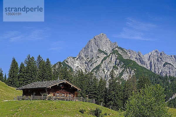 Litzlalm  im hinteren MÃ¼hlsturzhÃ¶rner der Reiter Alm  Pinzgau  Salzburger Land  Ã-sterreich  Europa