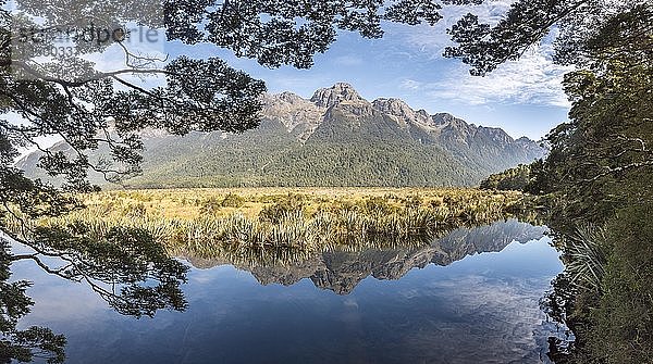 Mirror Lake mit Wasserreflexionen der Berge  Fiordland National Park  Milford Highway  Southland  Neuseeland  Ozeanien
