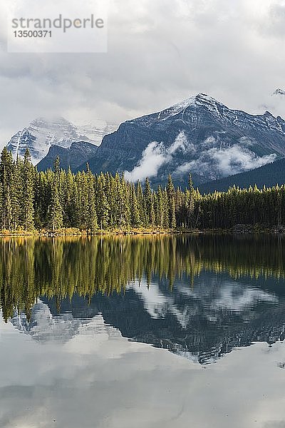 Herbert Lake  See mit Spiegelung der Bow Range  Banff National Park  Kanadische Rocky Mountains  Alberta  Kanada  Nordamerika