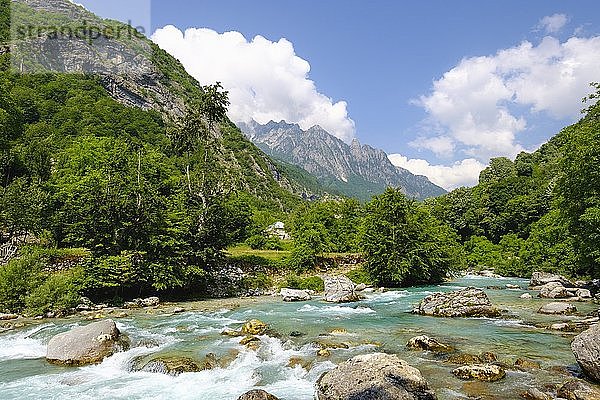 Fluss Valbona  Valbona-Tal  Valbona-Nationalpark  Albanische Alpen  Prokletije  Qar Kukes  Albanien  Europa