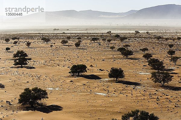 Luftaufnahme  Sandsturm in der Namib-Wüste  Sossusvlei National Park  Namib-Naukluft National Park  Namibia  Afrika