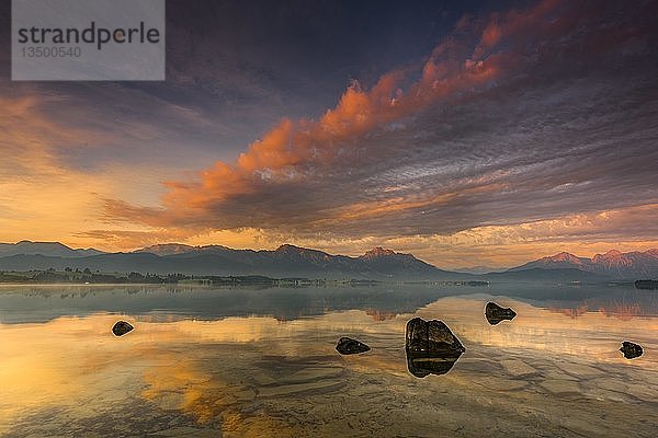 Forggensee mit Spiegelung des bewÃ¶lkten Himmels und der AllgÃ¤uer Berge im Hintergrund bei Sonnenaufgang  FÃ¼ssen  AllgÃ¤u  Bayern  Deutschland  Europa