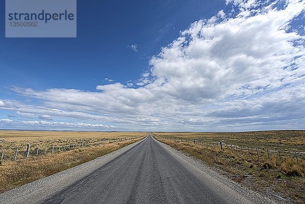 Straße durch die Pampa von Feuerland  Feuerland  von Porvenier nach Ushuaia  Argentinien  Südamerika