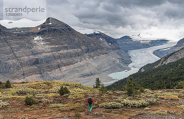 Blick in Tal mit Gletscherzunge  Parker Ridge  Saskatchewan Glacier  Athabasca Glacier  Jasper National Park National Park  Kanadische Rocky Mountains  Alberta  Kanada  Nordamerika