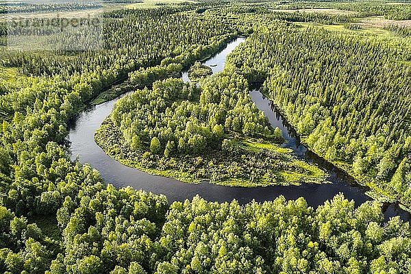 Drohnenansicht  Luftaufnahme einer Flussschleife  Mäander des Kapsajoki im borealen arktischen Wald  KittilÃ¤  Lappland  Finnland  Europa