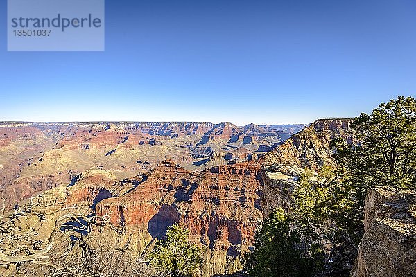 Aussichtspunkt Mather Point  erodierte Felslandschaft  South Rim  Grand Canyon National Park  Arizona  USA  Nordamerika