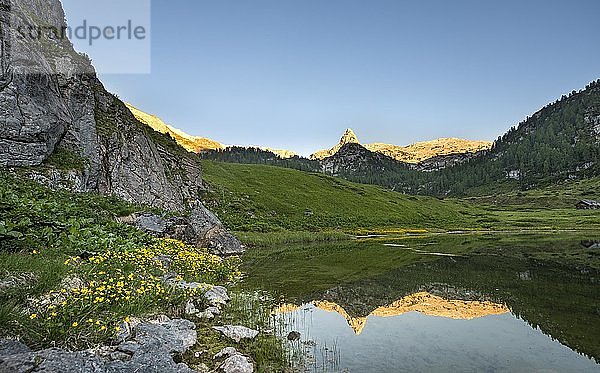 Schottmalhorn spiegelt sich im Funtensee bei Sonnenuntergang  Steinernes Meer  Nationalpark Berchtesgaden  Bayern  Deutschland  Europa