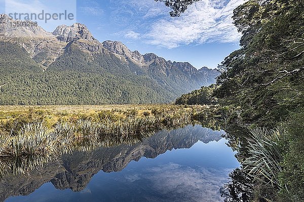 Mirror Lake mit Wasserreflexionen der Berge  Fiordland National Park  Milford Highway  Southland  Neuseeland  Ozeanien