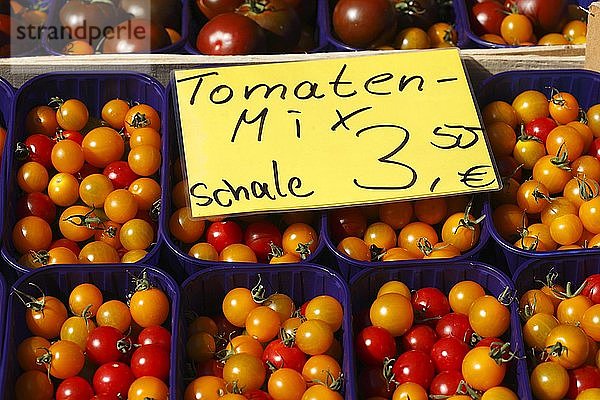 Frische bunte Tomaten (Solanum lycopersicum) in Bechern mit Preisschild an einem Marktstand  Bremen  Deutschland  Europa