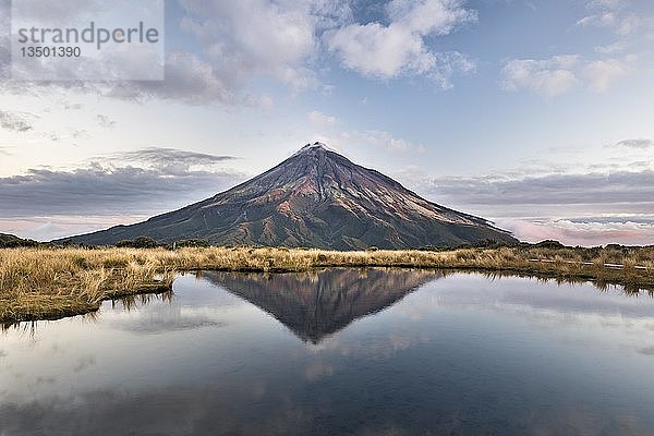 Stratovulkan Mount Taranaki oder Mount Egmont reflektiert in Pouakai Tarn  Mount Egmont National Park  Taranaki  Nordinsel  Neuseeland  Ozeanien