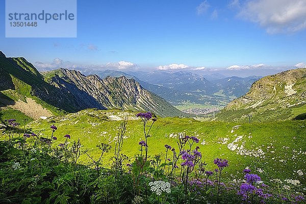 Gaißalpe am Nebelhorn  Allgäuer Alpen  Oberstdorf  Landkreis Oberallgäu  Landkreis Oberallgäu  Schwaben  Bayern  Deutschland  Europa