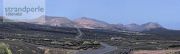 Weinberge und Vulkane  La Geria  Lanzarote  Kanarische Inseln  Spanien  Europa