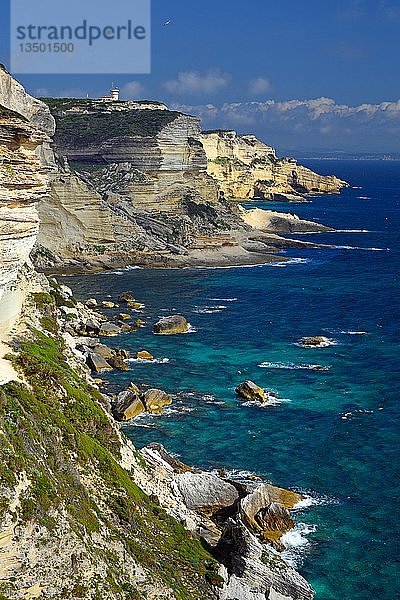 Schroffe Kreidefelsen und türkisblaues Meer  Klippen  Bonifacio  Korsika  Frankreich  Europa