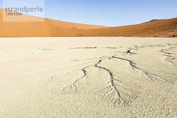 Wasseradern im trockenen Boden  Deadvlei  Sossusvlei  Namibia  Afrika