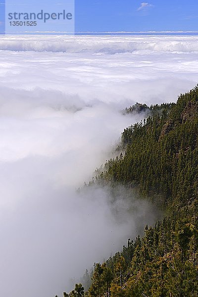 Passatwolken  die sich um den Berg türmen  Teide-Nationalpark  Teneriffa  Kanarische Inseln  Spanien  Europa