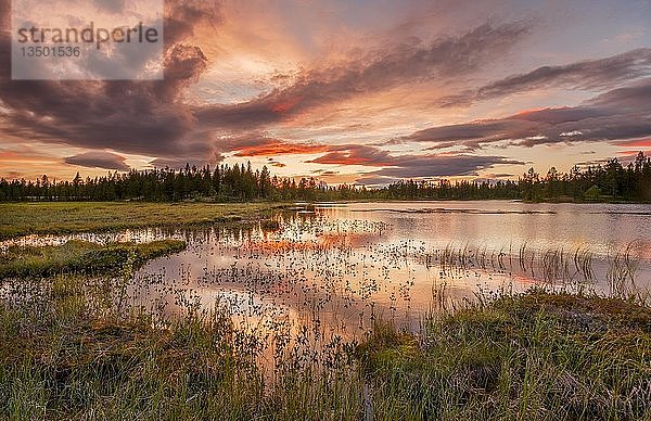 Sonnenuntergang  orange Wolken spiegeln sich im See  Wald  Feuchtgebiet  Moor  KittilÃ¤  Lappi  Finnland  Finnland  Europa