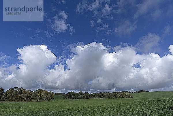 Cumulus cloudn (Cumulus) über einer Landschaft  Mecklenburg-Vorpommern  Deutschland  Europa