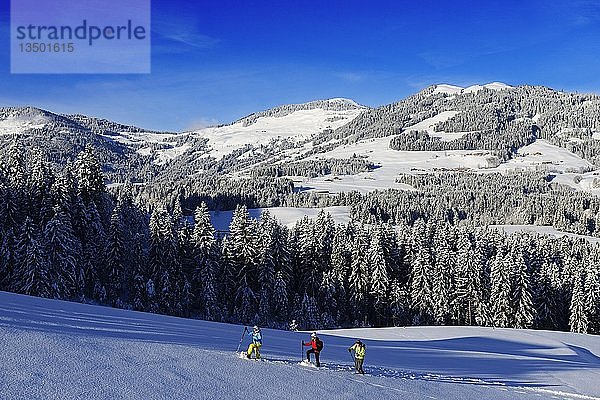 Schneeschuhwanderer  Gruberberg  Hopfgarten  Kitzbüheler Alpen  Tirol  Österreich  Europa