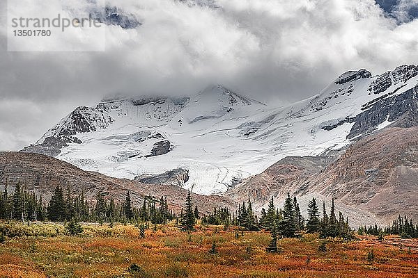 Karge Landschaft  Gletschertal  Mount Athabasca  Icefields Parkway  Jasper National Park National Park  Kanadische Rocky Mountains  Alberta  Kanada  Nordamerika