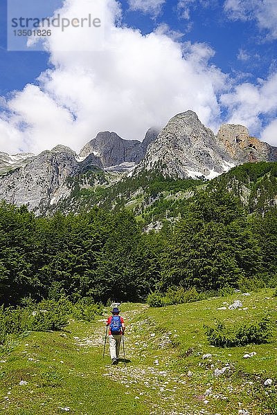 Wanderin im Kukaj-Tal mit Jezerca  Maja e Jezercës  Valbona-Nationalpark  Albanische Alpen  Prokletije  Qar Kukes  Albanien  Europa