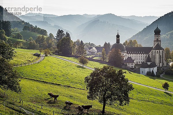 Kloster St. Trudpert im MÃ¼nstertal  Staufen  Baden-WÃ¼rttemberg  Schwarzwald  Deutschland  Europa