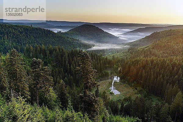 Blick von der Aussichtsplattform Ellbachseeblick  Morgenstimmung  Nordschwarzwald  Baiersbronn  Baden-WÃ¼rttemberg  Deutschland  Europa