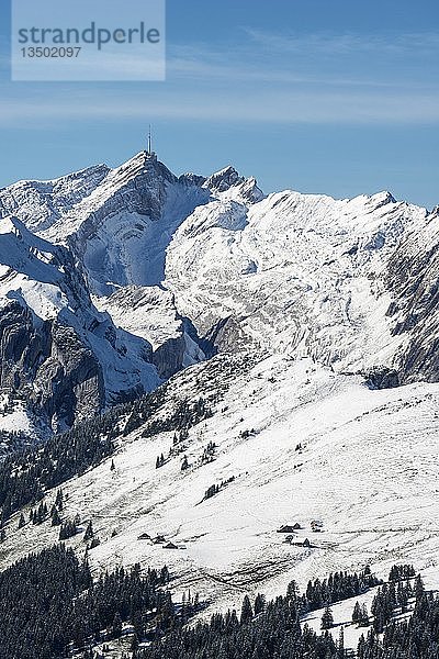 Schneebedeckter Säntisberg  2501m  von Südosten gesehen  darunter der Alpsigel  Kanton Appenzell Innerrhoden  Schweiz  Europa