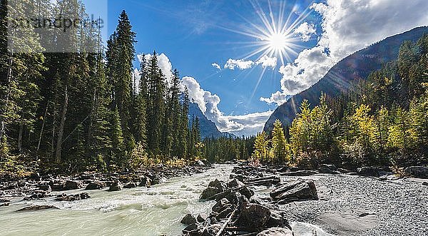 Wild River in Yoho Valley  Schönes Wetter  Himmel mit Sonnenstern  Rocky Mountains  Yoho National Park  Provinz Alberta  Kanada  Nordamerika