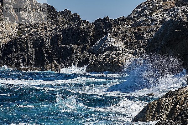 Küstenlinie des Naturschutzgebiets Cap de Creus an der Costa Brava  Katalonien  Spanien  Europa