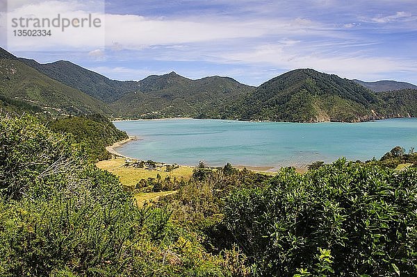 Blick über die Marlborough Sounds  Südinsel  Neuseeland  Ozeanien