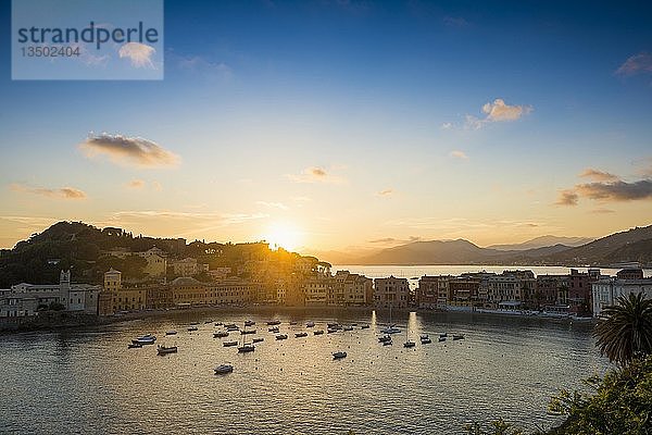 Blick auf das Dorf mit Hafen in der Bucht Baia del Silenzio bei Sonnenuntergang  Sestri Levante  Provinz Genua  Riveria di Levante  Ligurien  Italien  Europa