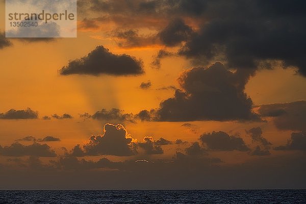Sonnenuntergang mit Wolken über dem Meer  Teneriffa  Kanarische Inseln  Spanien  Europa