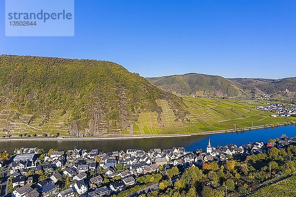 Drohnenaufnahme  Dorf mit Weinbergen des RÃ¼berberger Domherrenbergs  Briedern  Mosel  Rheinland-Pfalz  Deutschland  Europa