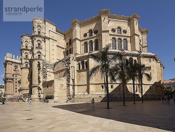 Kathedrale  Catedral de la Encarnacón  Málaga  Costa del Sol  Andalusien  Spanien  Europa