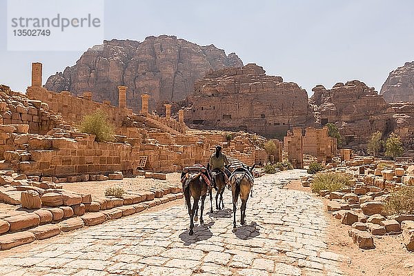 Mann mit Pferden  alte römische Straße neben den Ruinen von Petra  nabatäische Stadt Petra  nahe Wadi Musa  Jordanien  Asien