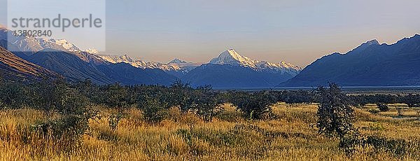 Der Gipfel des schneebedeckten Mount Cook  Aoraki mit Buschlandschaft bei Sonnenaufgang  Mount Cook National Park  Neuseeländische Alpen  Südinsel  Neuseeland  Ozeanien