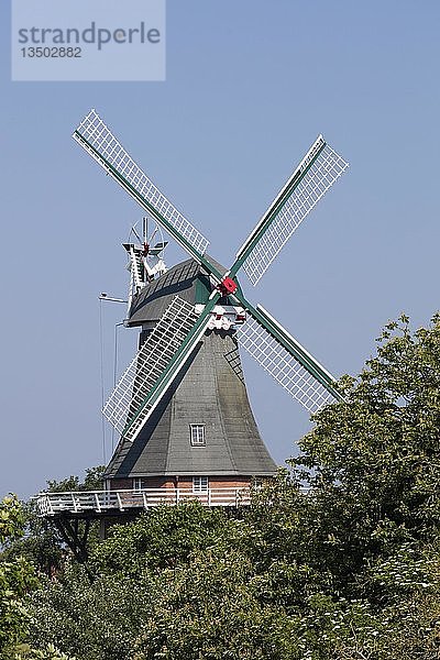 Galerie Holländer  Windmühle  Greetsiel  Krummhörn  Ostfriesland  Niedersachsen  Deutschland  Europa
