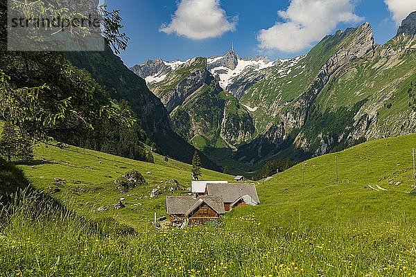 AlmhÃ¼tte auf Sommerbergwiese im Hintergrund SÃ¤ntis-Gipfel  Wasserauen  Appenzell  Schweiz  Europa