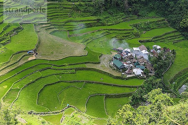 Bangaan in den Reisterrassen von Banaue  Nord-Luzon  Philippinen  Asien