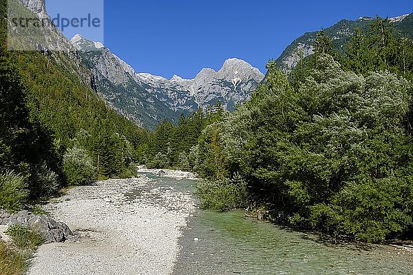 Fluss Soca  Isonzo  Triglav-Nationalpark  bei Trenta  Soca-Tal  Slowenien  Europa